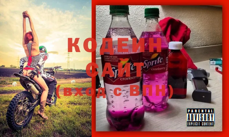 Кодеин Purple Drank  mega ССЫЛКА  Каргополь 